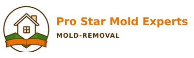 Pro Star Mold Experts